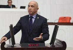 Erzurum, Erzincan ve Sarıkamış, 2026 Kış Olimpiyatları'na hazırlanıyor