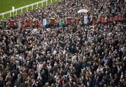 Cheltenham Festivali'ne katılanlarda corona virüs riski