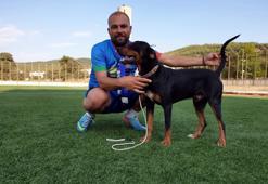 Av köpeği karşılığında transfer oldu! VİDEO