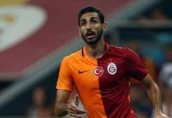 Eski aslan Malaga'da