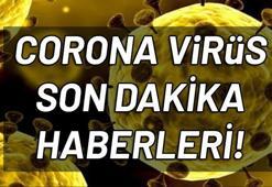 Corona Virüs son dakika haberleri! Hangi futbolcular Corona Virüs'e yakalandı?