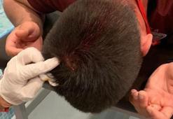 Emre Altundağ'a saldırı kınandı