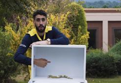 Tolga Ciğerci'nin yılanla imtihanı!