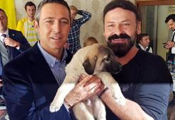 Başkan Ali Koç'a kangal sürprizi