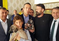Ali Koç'a kangal köpeği hediye edildi