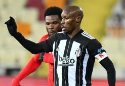 Beşiktaş | Atiba'ya büyük övgü!