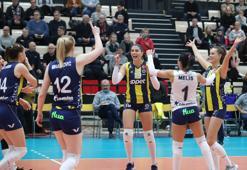 LP Salo - Fenerbahçe Opet maç sonucu: 0 - 3