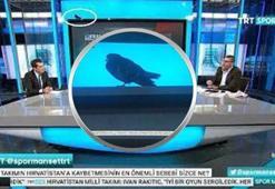 TRT'ye talih kuşu kondu!
