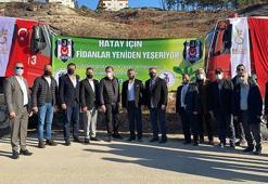 Beşiktaş'tan Hatay'a 1903 fidan