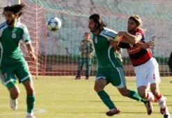 Domuz gribi dinlemeyip kazandılar: 3-0