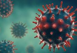 Fethiyespor'da 2 pozitif vaka tespit edildi