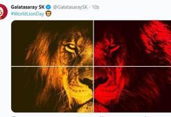 ‘Dünya Aslan Günü' mesajı