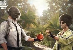 PUBG MOBILE'a gizemli orman güncellemesi