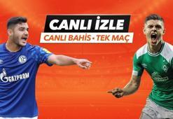 Schalke 04 - Werder Bremen maçı iddaa oranları! Heyecan misli.com'da