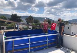 Terasa havuz kurdu antrenman yaptı