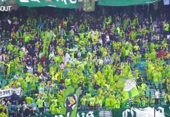 Jeonbuk'un duygusal şampiyonluk kutlaması!