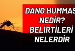 Dang humması virüsü nedir, Dang humması belirtileri nelerdir?