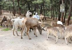 Hayvanat bahçesinde corona virüs tedbirleri