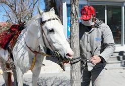 Cirit sporcusu İsa Ula, toplu taşıma yerine atını kullanıyor