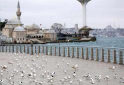 İstanbul'da Corona virüs tedbirlerine büyük oranda uyuluyor