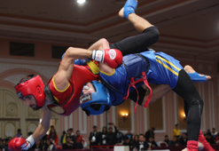 Türkiye Wushu Kung Fu Şampiyonası sona erdi