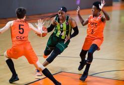 Ormanspor, Polkowice'ye direnemedi: 75-55