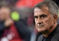 Türkiye - İzlanda maçında Şenol Güneş'in en büyük kozu!