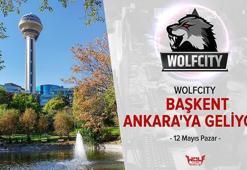 Başkenti Wolfcity heyecanı sarıyor