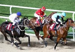 TSYD İzmir Koşusu Steel Runner'ın
