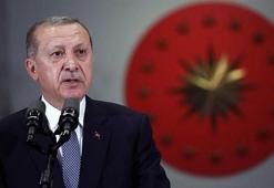 Cumhurbaşkanı Erdoğan'dan altın madalya kazanan tekvandoculara kutlama