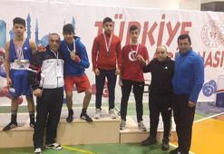Vanlı boksörlerden büyük başarı