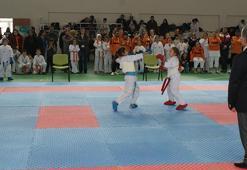 Manyas'ta Karate şampiyonası yapıldı