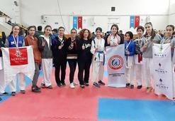 Diyarbakırlı karatecilerden büyük başarı