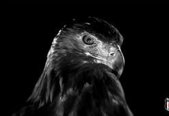 Beşiktaş'tan rakibine gözdağı!