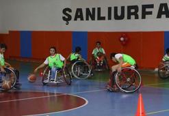 Şanlıurfa'da "Parkede Teker Sesleri" projesi