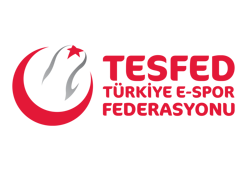 Espor Federasyonu Yönetim Kurulu açıklandı