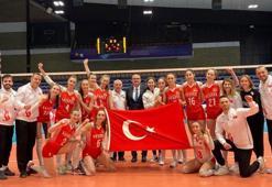 Türkiye-Macaristan: 3-0