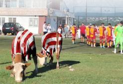 Ümraniyespor'dan çok konuşulan o fotoğrafla ilgili açıklama