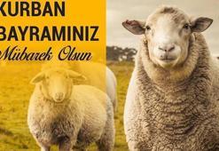 2023 BAYRAM MESAJLARI | KURBAN Bayramı Mesajı Resimli, en anlamlı, dualı, aileye, akrabaya, arkadaşa hadisli, ayetli, kısa-uzun, anlamlı, bayram kutlama sözleri