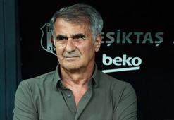 Şenol Güneş: Suni konuların bitmesini istiyorum