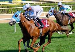 Türkiye Bedensel Engelliler Spor Federasyonu Koşusu’nu The King Siayer kazandı
