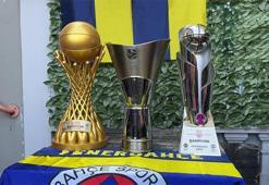 Fenerbahçe Beko'nun şampiyonluk kupaları Rotterdam'da