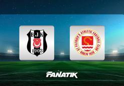 Beşiktaş - St. Patrick's maçı ne zaman, saat kaçta, hangi kanalda? (Muhtemel 11'ler)