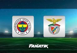 Şampiyonlar Ligi maçı şifresiz! Fenerbahçe - Benfica maçı ne zaman, saat kaçta ve hangi kanalda? İşte bilet fiyatları