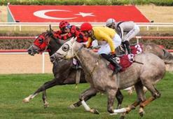 Yaşar Esin Koşusu'nu Kanatlı Oğlu kazandı