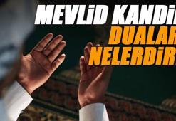 Mevlid Kandili duaları nelerdir? (Diyanet) Mevlid gecesi hangi dualar okunur? Mevlid kandilinde okunacak dualar 2025