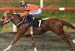 Horse Racing Ireland Koşusu’nda galibiyetin adı Farewell Kiss