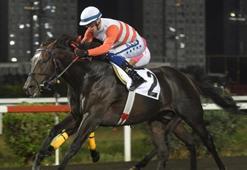 Uluslararası France Galop Anadolu Koşusu’nda galibiyete uzanan Captain Fantastic oldu
