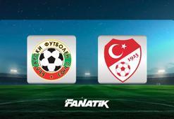 Bulgaristan - Türkiye maçı ne zaman, saat kaçta, hangi kanalda? (A Milli Takım Dünya Kupası yolunda)