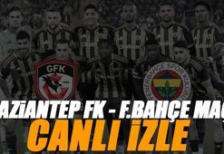 Gaziantep FK - Fenerbahçe maçı canlı izle | GAZİANTEP FB maçı şifresiz (Süper Lig maçı canlı yayın)